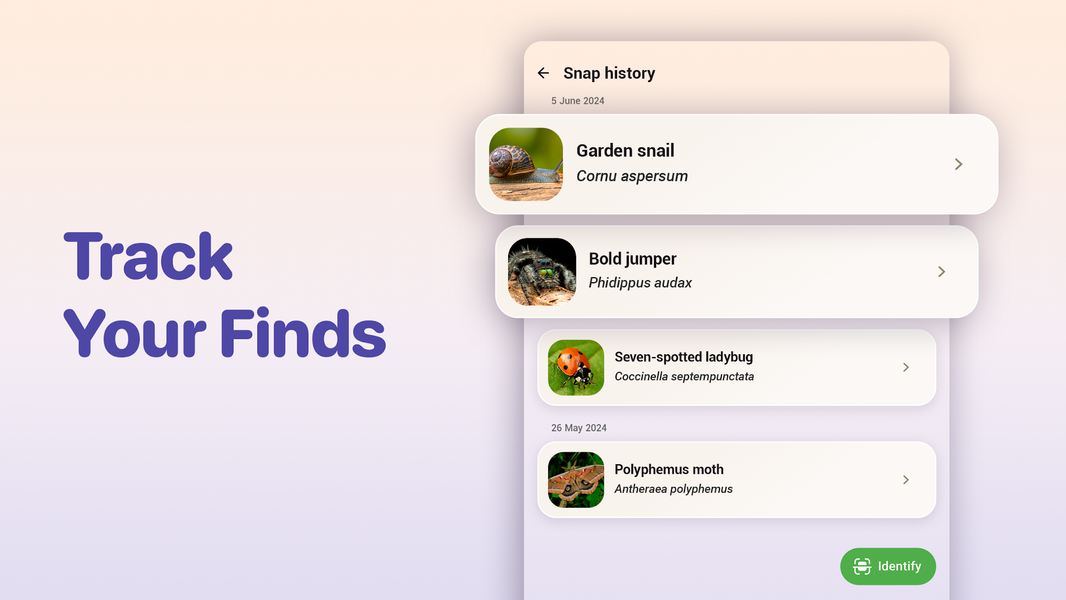 Bug ID - Insect Identifier - Image screenshot of android app
