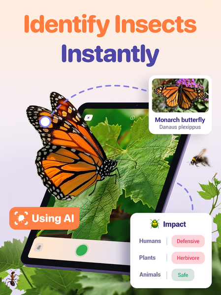 Bug ID - Insect Identifier - Image screenshot of android app
