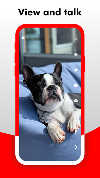 Camy — Live Video CCTV - عکس برنامه موبایلی اندروید