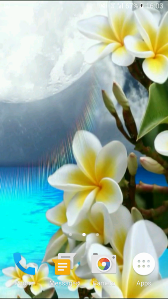 Video Wallpapers: Paradise Islands - Image screenshot of android app