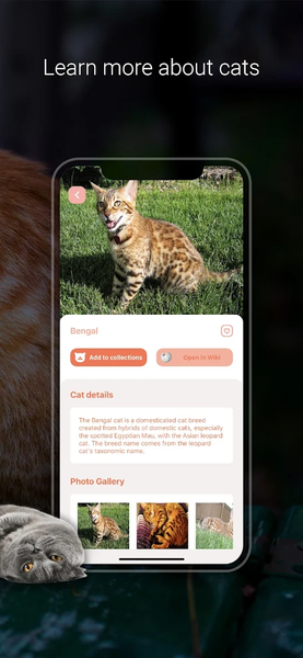 Cat Identifier - Cat Scanner - عکس برنامه موبایلی اندروید