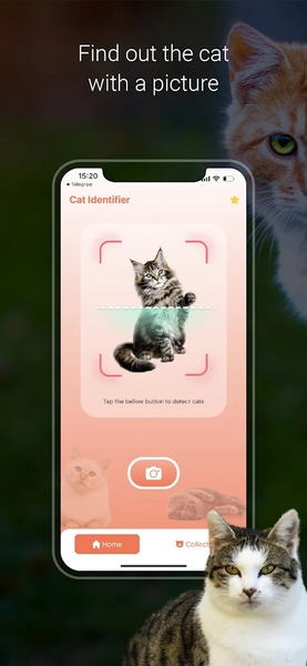 Cat Identifier - Cat Scanner - عکس برنامه موبایلی اندروید