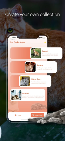 Cat Identifier - Cat Scanner - عکس برنامه موبایلی اندروید
