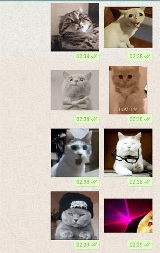 Cat Animated Stickers WASticke - عکس برنامه موبایلی اندروید