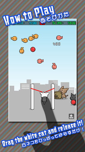 Cat Shot - Gameplay image of android game