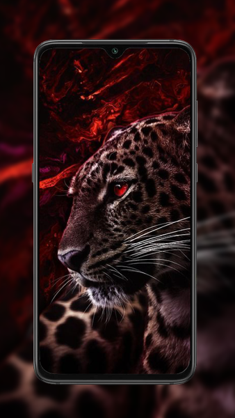 Cheetah Leopard Wallpaper - عکس برنامه موبایلی اندروید