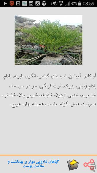 چه گیاهی چه درمانی - عکس برنامه موبایلی اندروید
