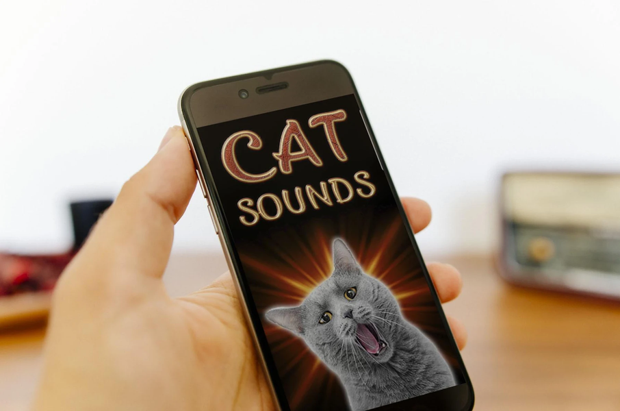 Cat Sounds - عکس برنامه موبایلی اندروید