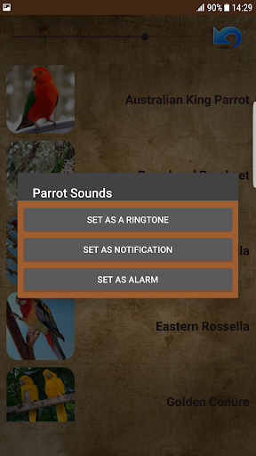 Parrot Sounds - عکس برنامه موبایلی اندروید