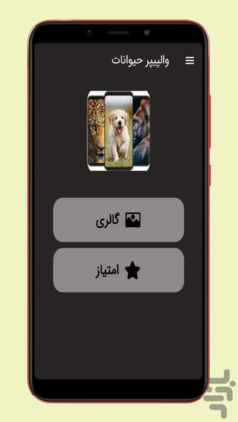والپیپر حیوانات - عکس برنامه موبایلی اندروید