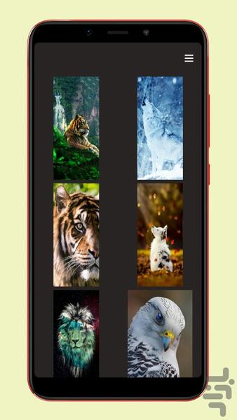 والپیپر حیوانات - عکس برنامه موبایلی اندروید