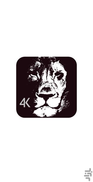 والپیپرهای سیاه و سفید 4K - Image screenshot of android app