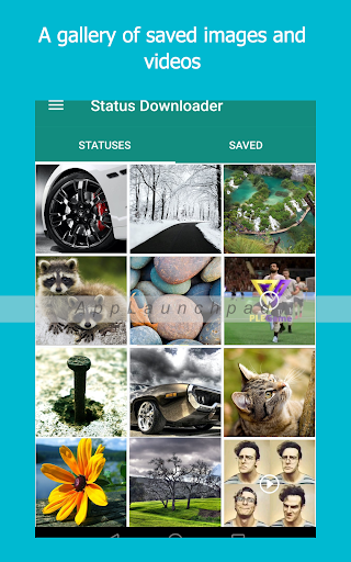 Status Saver for WhatsApp - Image screenshot of android app