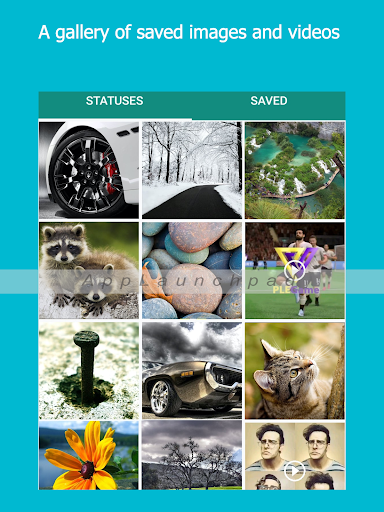 Status Saver for WhatsApp - Image screenshot of android app