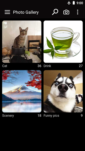 Photo gallery app - Image screenshot of android app