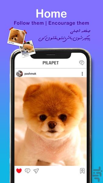 پیلاپت - Image screenshot of android app