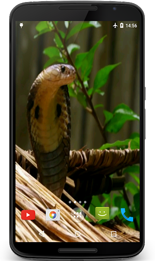 Cobra Video Live Wallpaper - عکس برنامه موبایلی اندروید