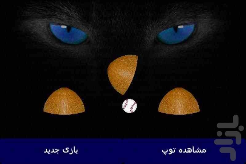 بازی و سر کاری (توپ نارگیل) - عکس برنامه موبایلی اندروید