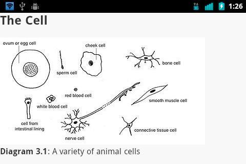 Animal Anatomy and Physiology - عکس برنامه موبایلی اندروید
