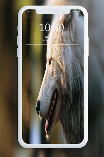 Wolf Wallpaper 4K - Image screenshot of android app