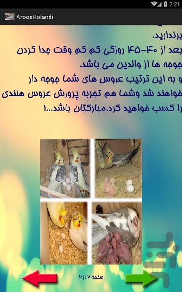 از عروس هلندی پول در بیار!!! - عکس برنامه موبایلی اندروید