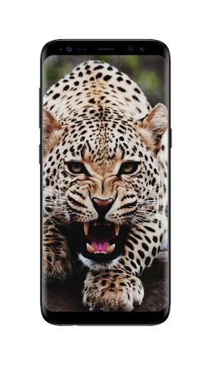 Leopard Live Wallpaper - Image screenshot of android app