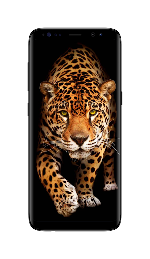 Leopard Live Wallpaper - Image screenshot of android app