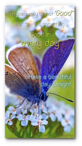 Good night Sweet dream my love - Image screenshot of android app