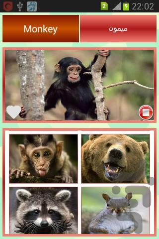 Animal Sound - Image screenshot of android app