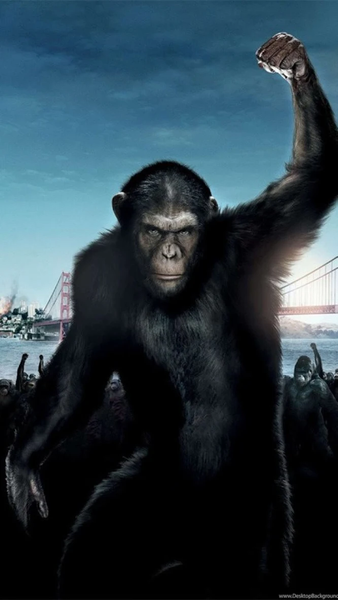 Planet of the Apes Wallpapers - عکس برنامه موبایلی اندروید