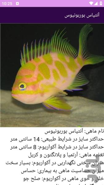 آموزش های شناخت آبزیان آب شور - عکس برنامه موبایلی اندروید