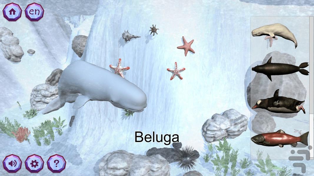 زوکیدی سه بعدی - عکس بازی موبایلی اندروید