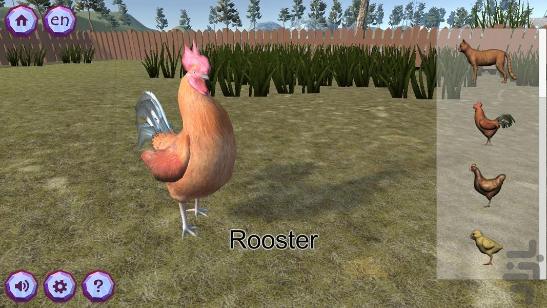 زوکیدی سه بعدی - عکس بازی موبایلی اندروید