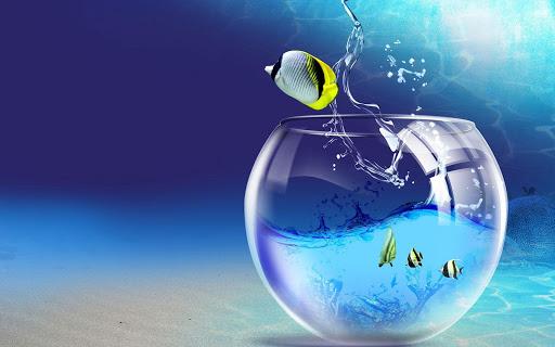 Aquarium Live Wallpaper - Image screenshot of android app
