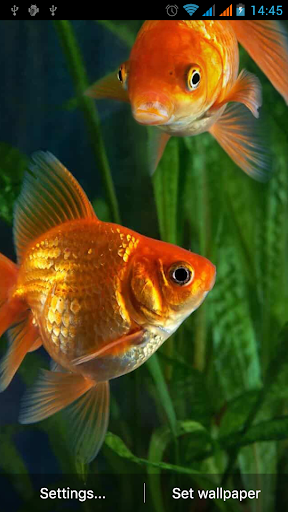 Aquarium Live Wallpaper - عکس برنامه موبایلی اندروید