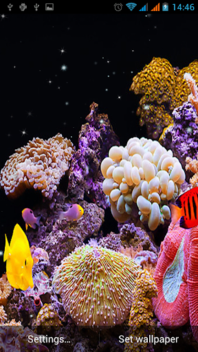 Aquarium Live Wallpaper - عکس برنامه موبایلی اندروید