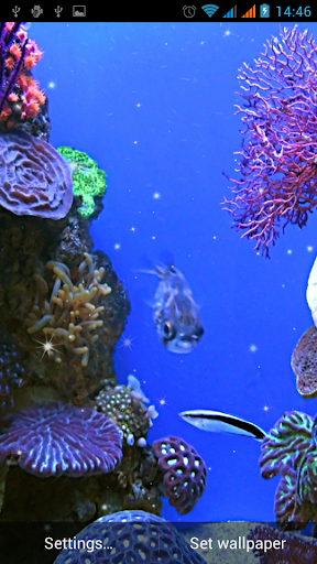 Aquarium Live Wallpaper - عکس برنامه موبایلی اندروید