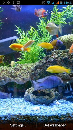 Aquarium Live Wallpaper - عکس برنامه موبایلی اندروید