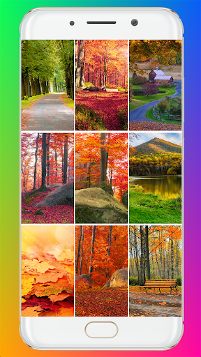 Autumn Wallpaper HD - Image screenshot of android app