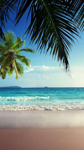 Island Beach Live Wallpaper  MyLiveWallpaperscom