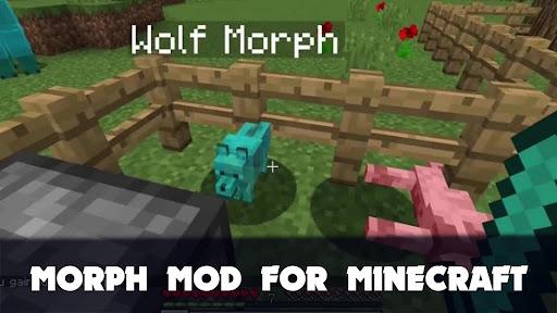 Morph Mod in Minecraft - Image screenshot of android app