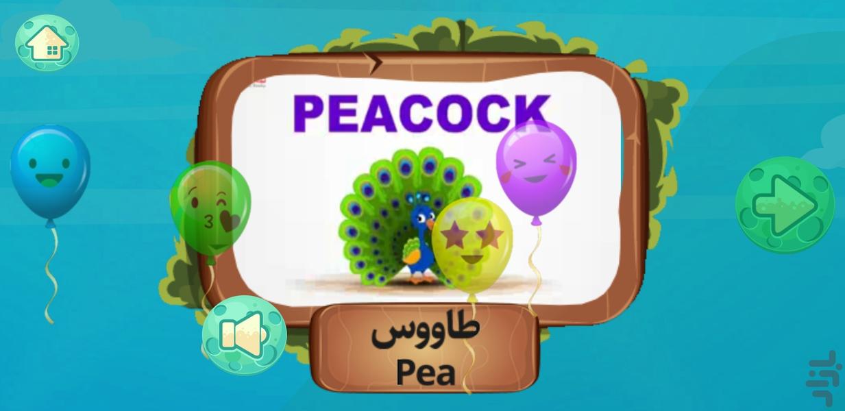 پازل پرندگان کودکان - عکس برنامه موبایلی اندروید