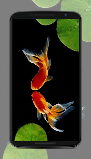 Black Wallpapers - عکس برنامه موبایلی اندروید