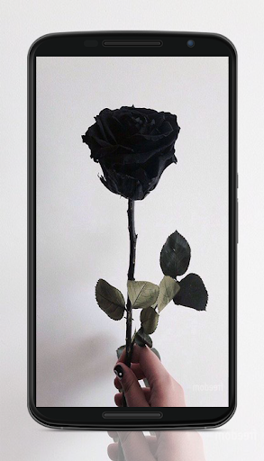 Black Wallpapers - عکس برنامه موبایلی اندروید