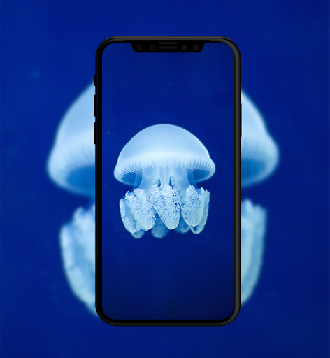 Blue Wallpaper - عکس برنامه موبایلی اندروید