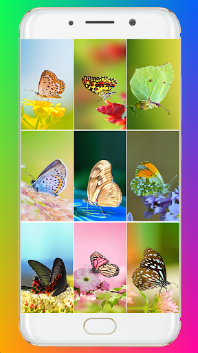 Butterfly Wallpaper HD - Image screenshot of android app