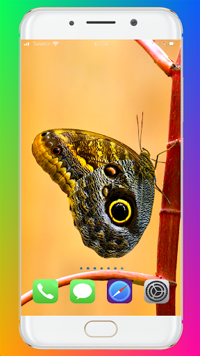 Butterfly Wallpaper HD - Image screenshot of android app