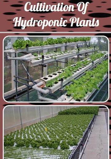 Cultivation Of Hydroponic Plants - Image screenshot of android app