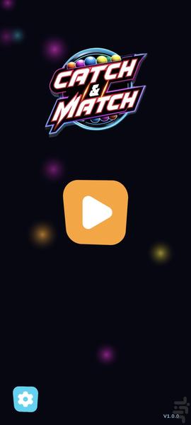 Catch And Match - Gameplay image of android game