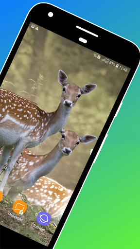 Deer Wallpapers - عکس برنامه موبایلی اندروید